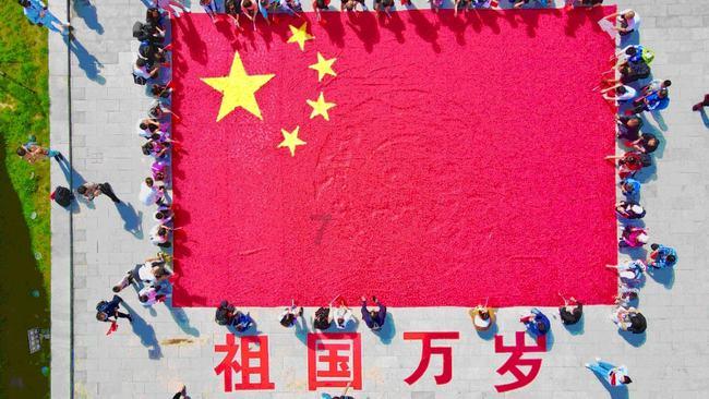 沙皮狗逃离